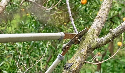 &Eacute;lagage technique