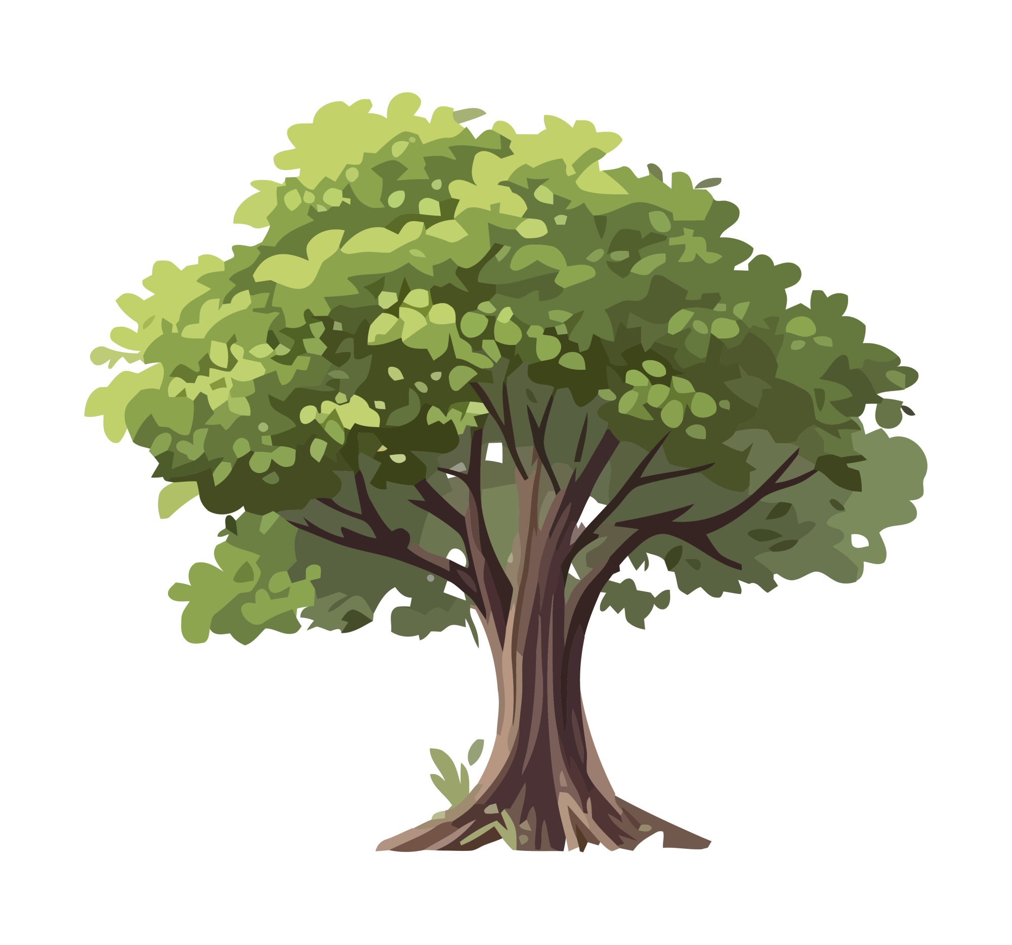 Feuille d'arbre